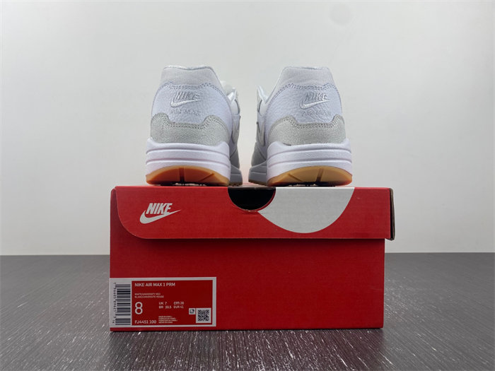 Nike Air Max 1 The Bay FJ4451-100