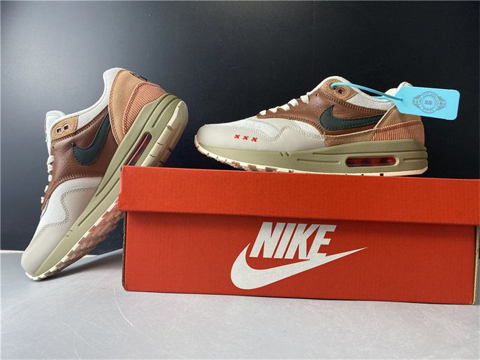 Nike Air Max 1 Amsterdam CV1638-200