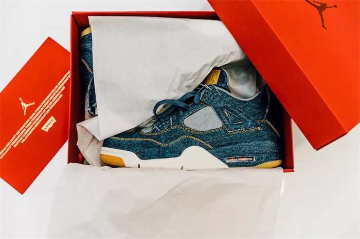 Jordan4 Levi