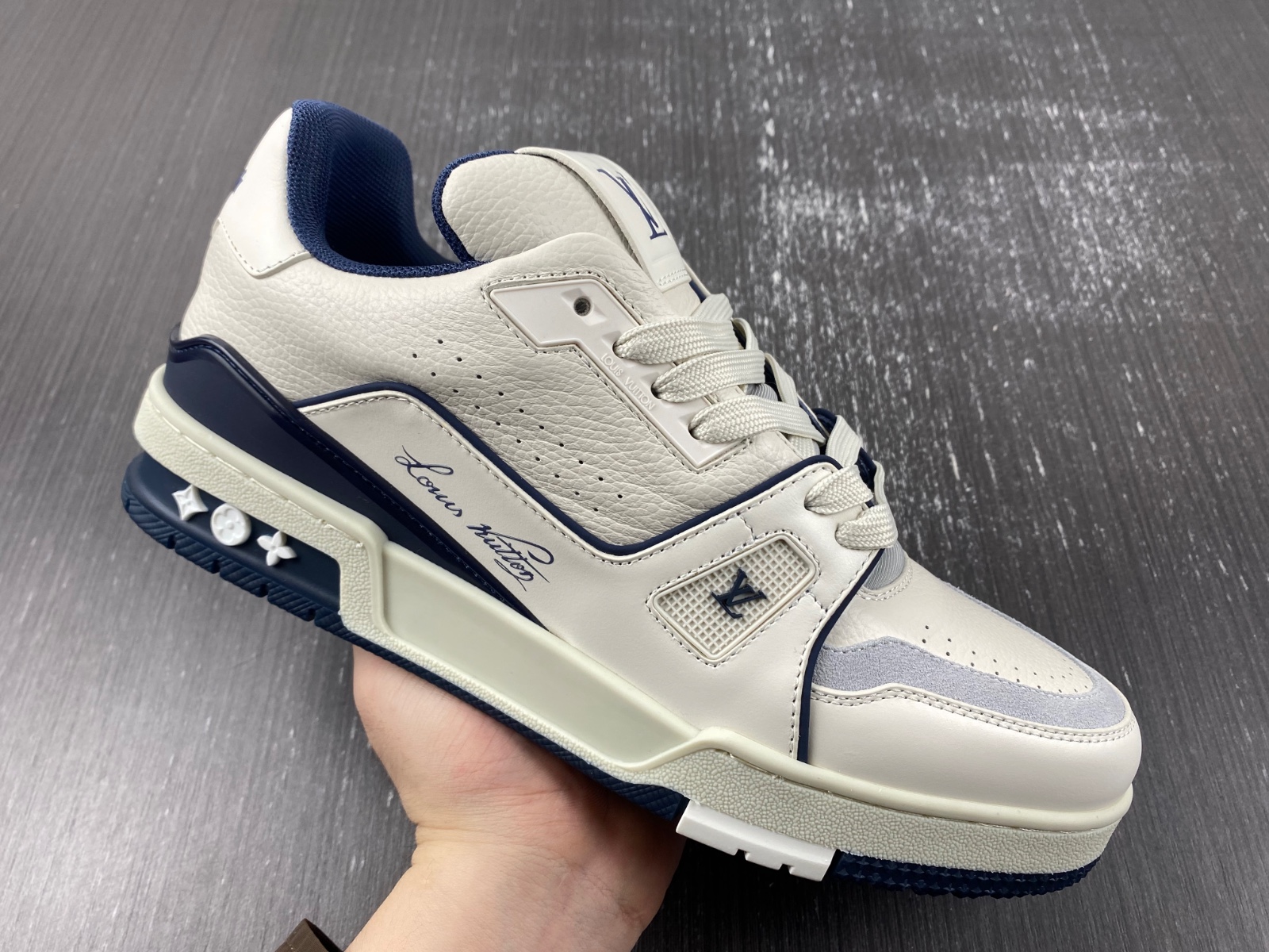 l**is V*t*n lv trainer
