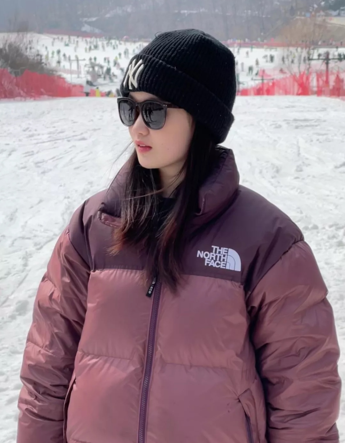 the n0*h F**e 96 red-brown down jacket