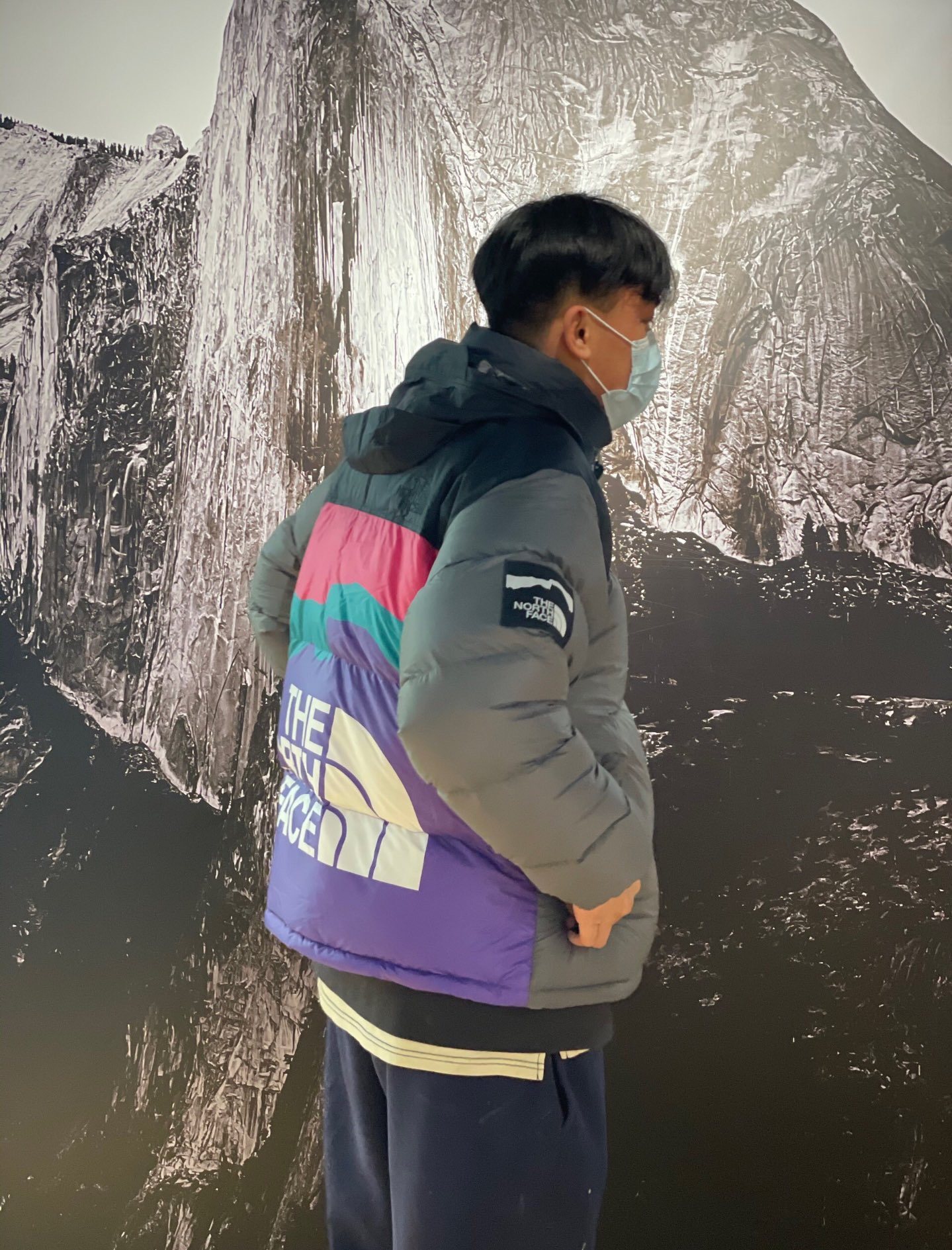 the n0*h F**e colorful snow mountain print down jacket 2021