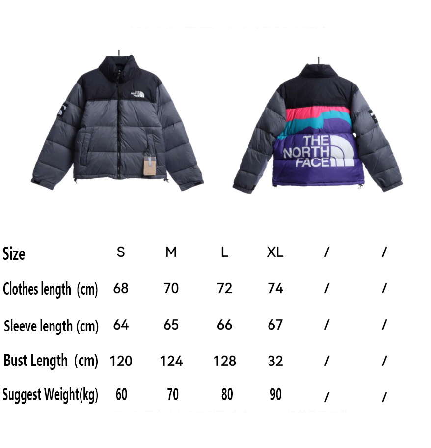 the n0*h F**e colorful snow mountain print down jacket 2021