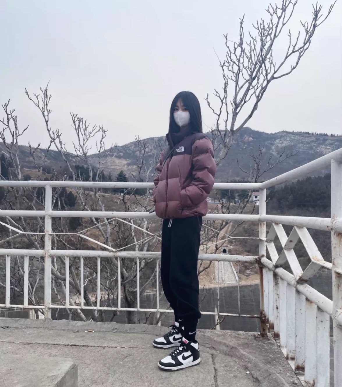 the n0*h F**e 96 red-brown down jacket