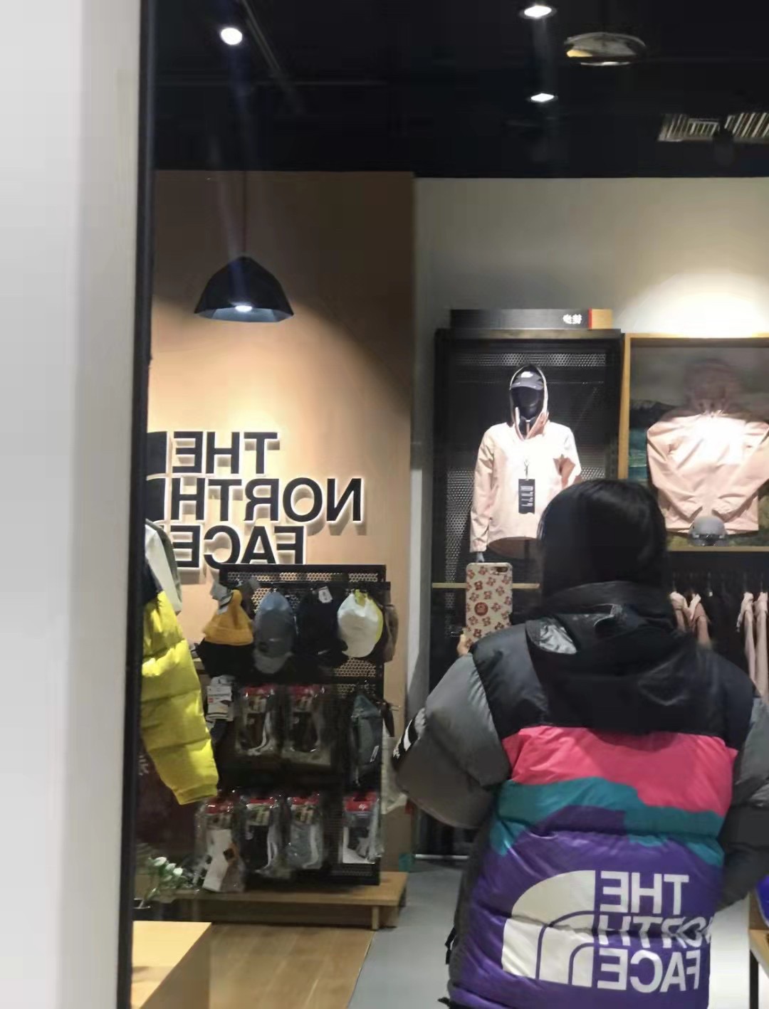the n0*h F**e colorful snow mountain print down jacket 2021