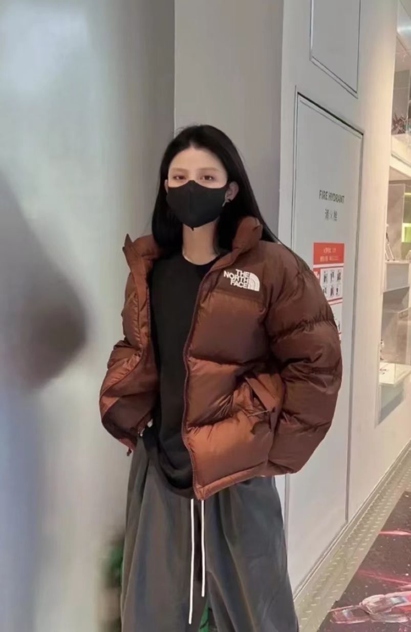 the n0*h F**e 96 red-brown down jacket