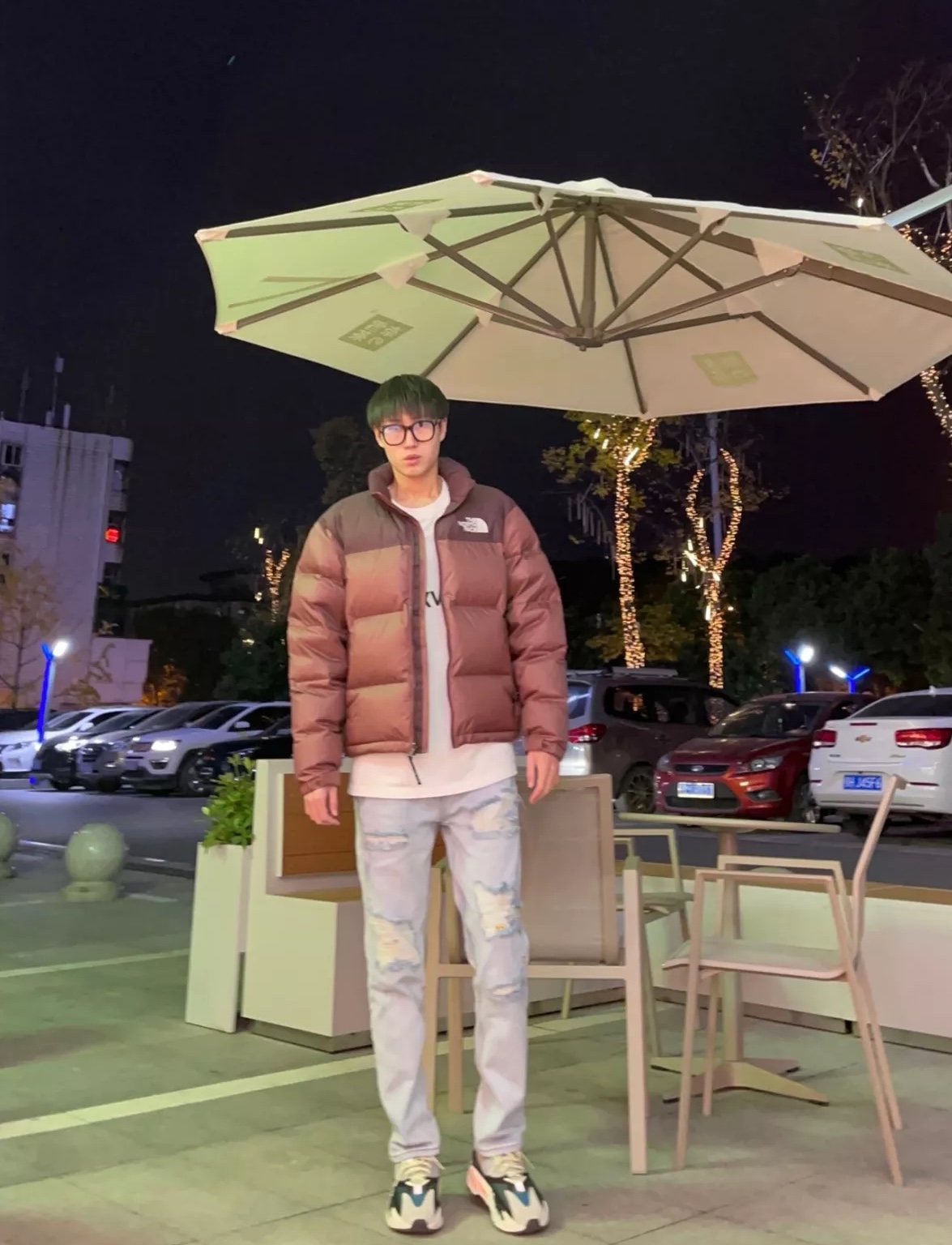 the n0*h F**e 96 red-brown down jacket