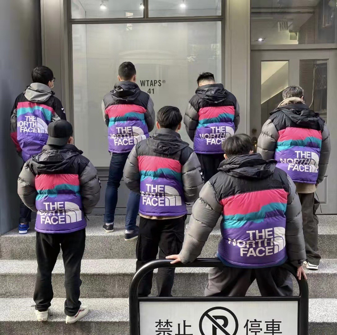 the n0*h F**e colorful snow mountain print down jacket 2021